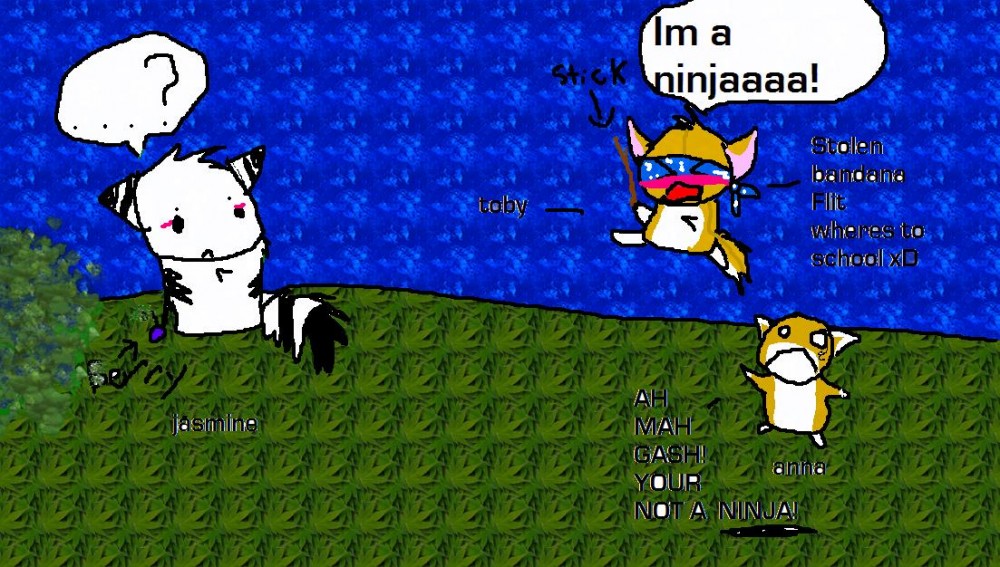ninjaaaaaaa