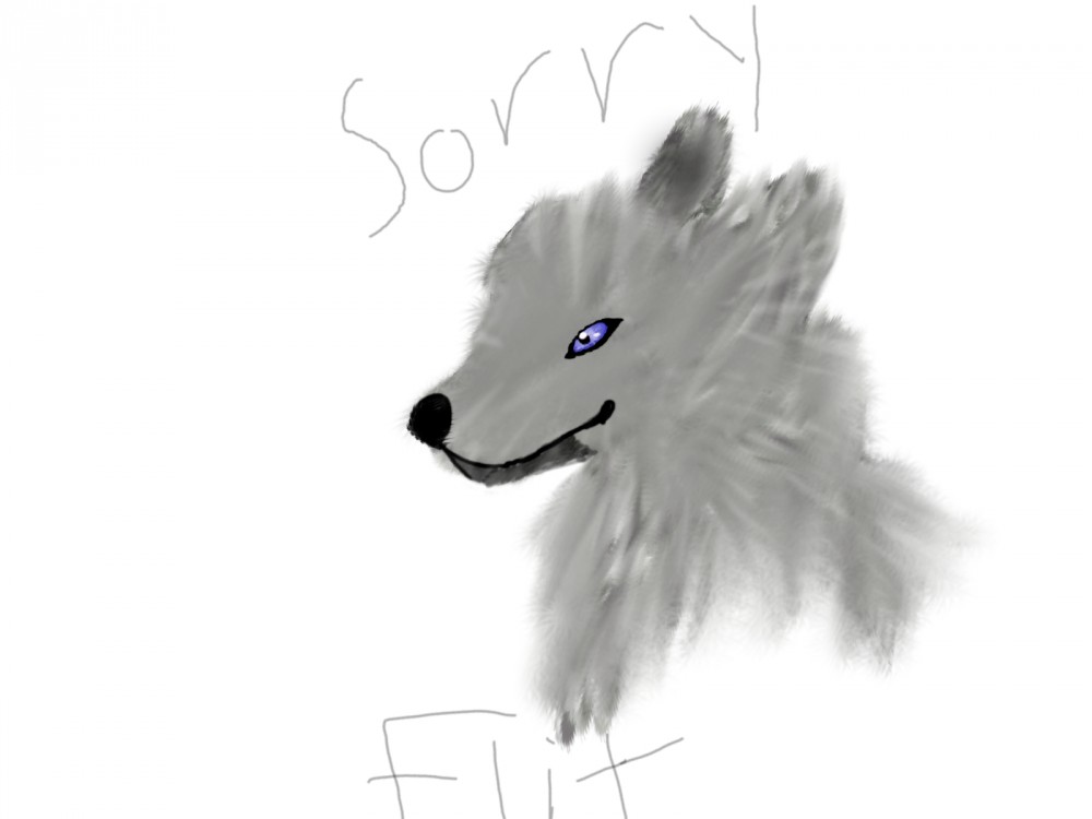 Sorry