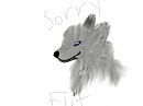 Sorry