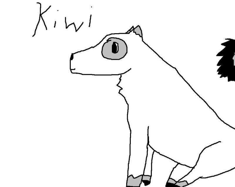kiwi