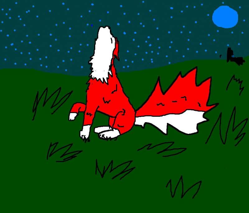 for jenna wolf