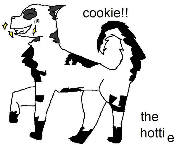 cookie