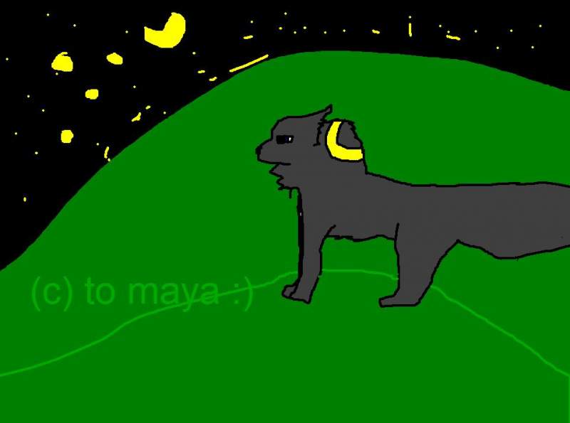 for maya request