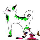 pups fo adoption
