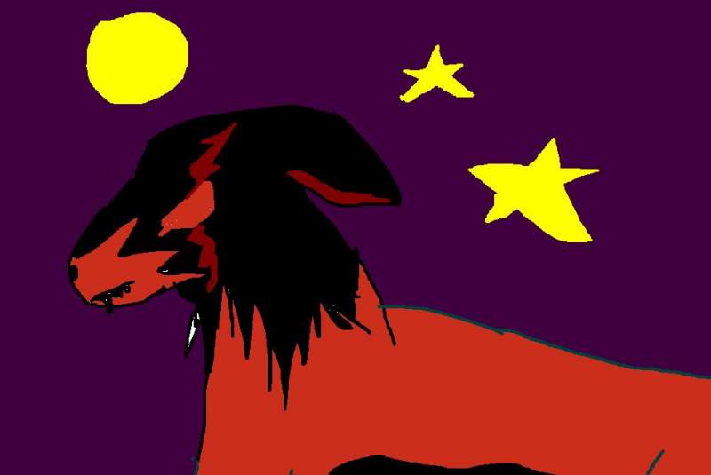 Scar
