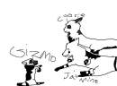 cookies and jasmines pup giz!
