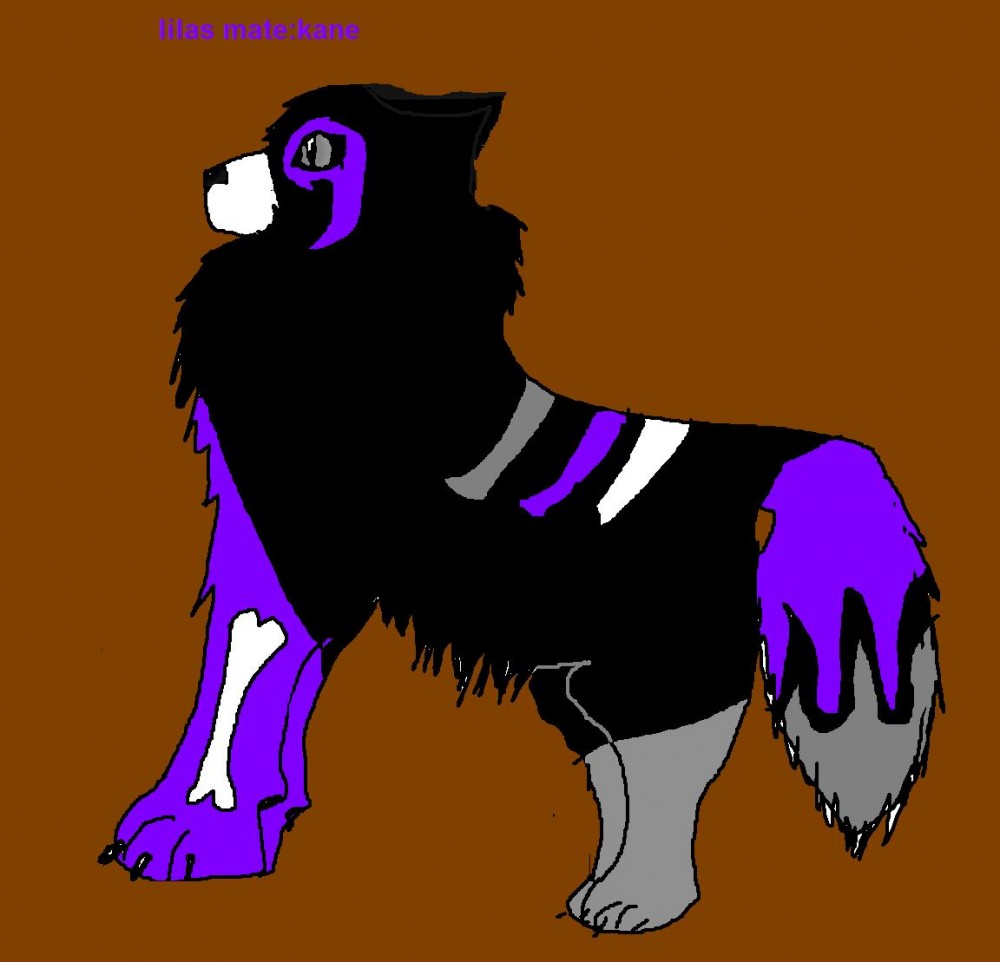 lilas mate!