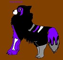 lilas mate!