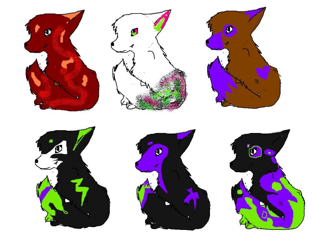 PUPS FOR ADOPTION!