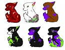 PUPS FOR ADOPTION!