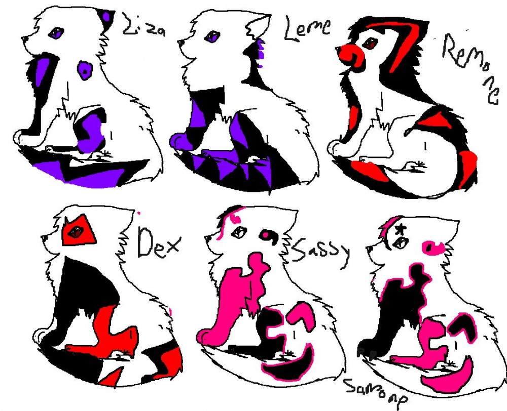 PUPS FOR ADOPTION!2