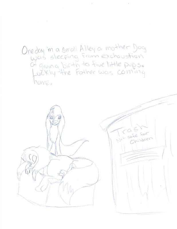  Excuastion from birth page1
