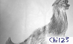 Chi123
