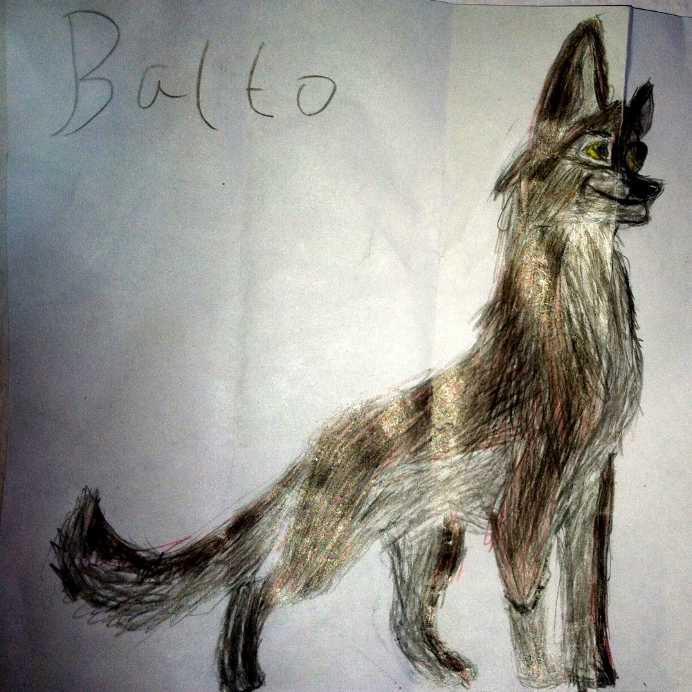 Balto, a proud wolf dog