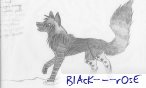 BlAcK_-_rOsE