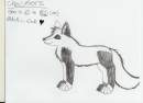 checkers