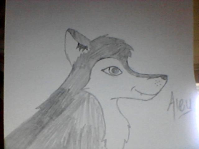 Aleu =D