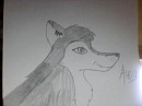Aleu =D