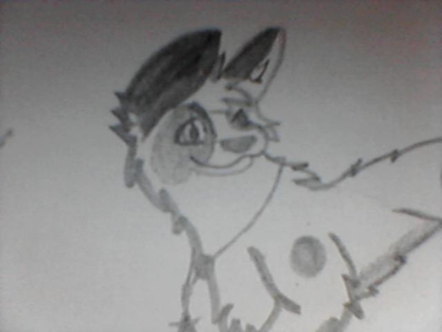Rascal Close-Up