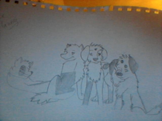 The Gang