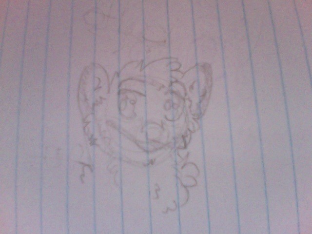 Balto!