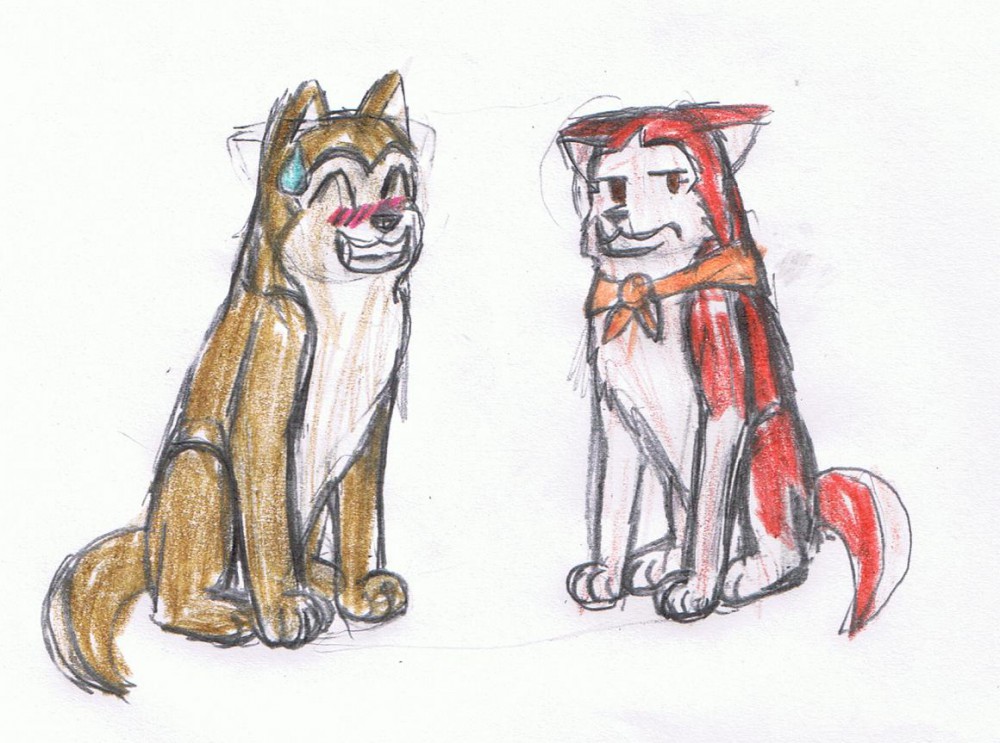 Hehe...wrong dog.