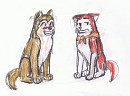 Hehe...wrong dog.