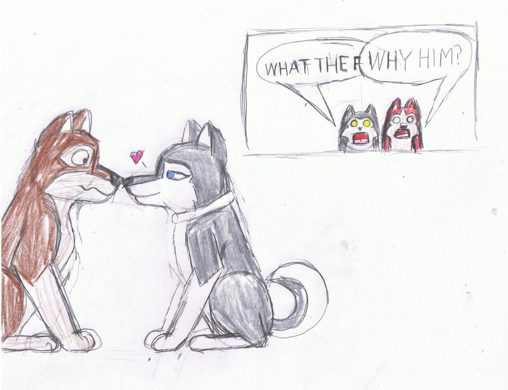 DUSTY X NON-SPECIFIC SLED DOG