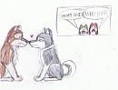 DUSTY X NON-SPECIFIC SLED DOG