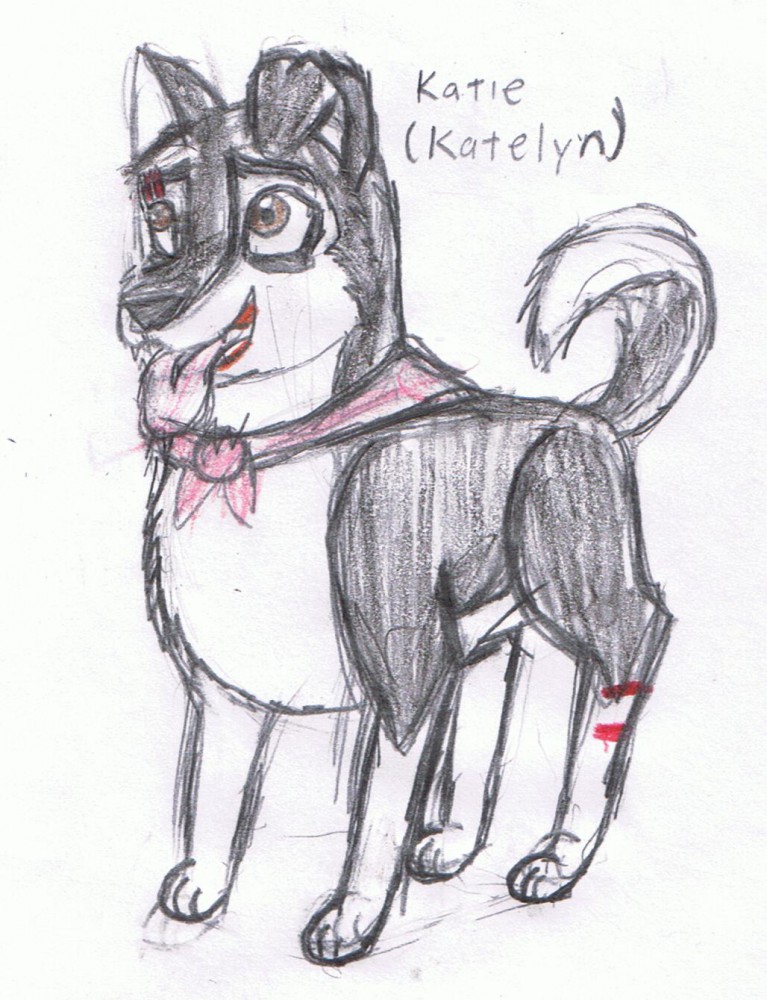 Another new Katie ref.