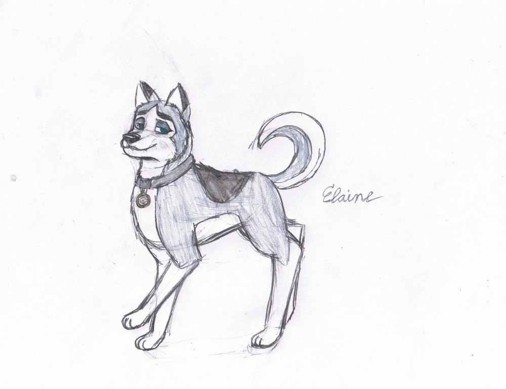 Elaine's New Ref