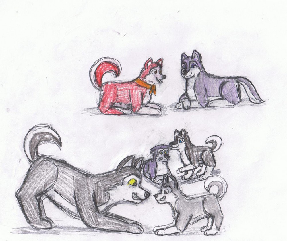 Dusty, Ralph, Jenna, and their pups