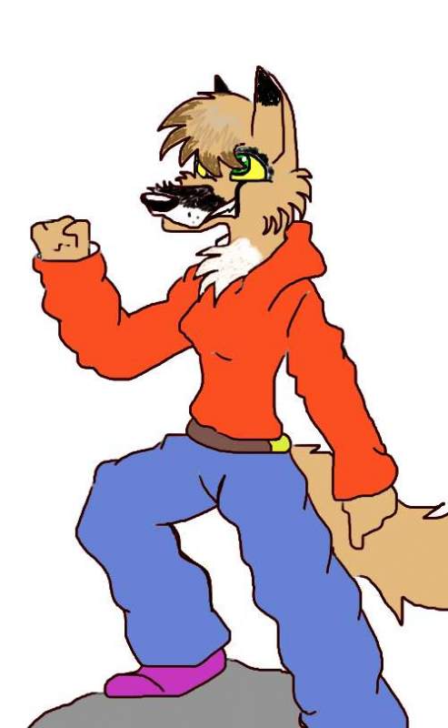 meh new fursona