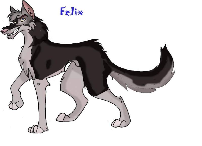 felix for ryoko