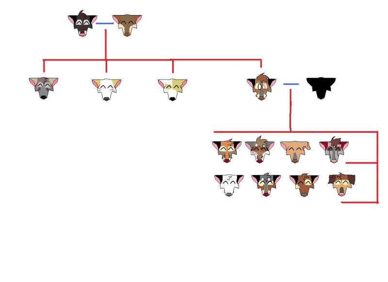 family tree