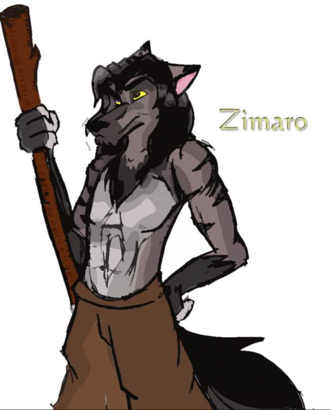 for zimaro 