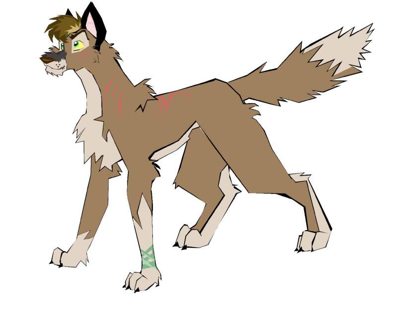 a random wolf (Raider)