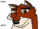 Balto Head