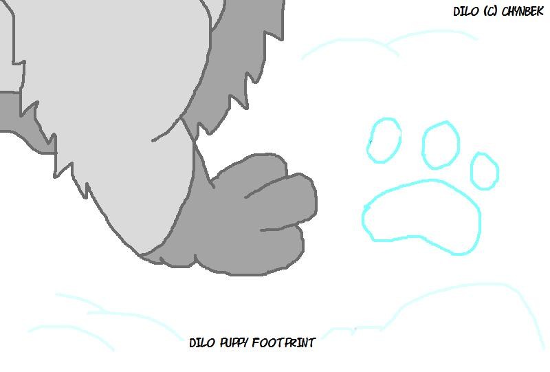 Dilo Puppy Footprint
