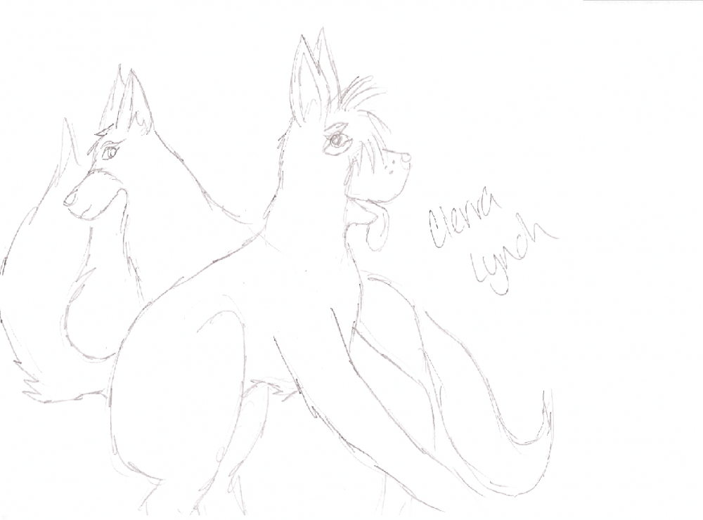 Alika And Drew, Pups on the way!