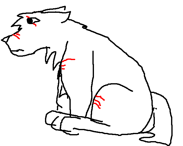 Grauke