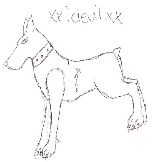 dog lineart