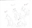 Pup Litter #1