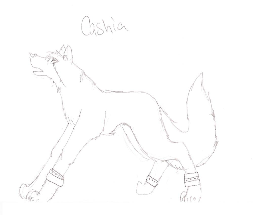 Cashia