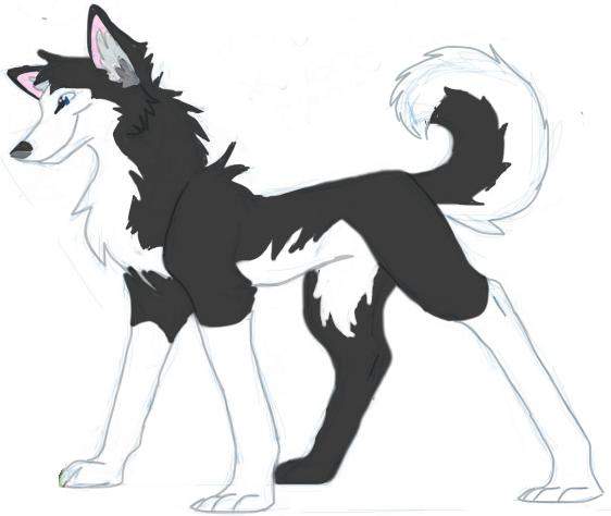 Colored Doodle