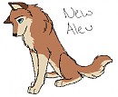 Newest Version of Aleu