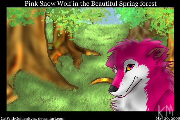 .:Snow Wolf in the Spring Forest:. 