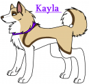 Kayla