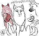 DoOdLeS