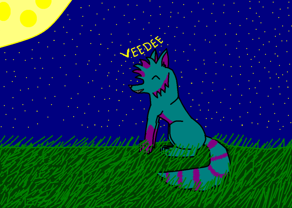 Veedee and night